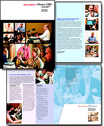 Fellows Brochure